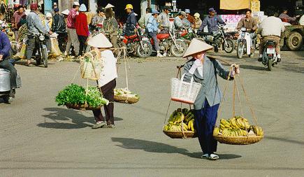 carrybananas.jpg (32143

 bytes)