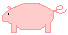 pig.gif (1051 bytes)